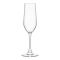 Набір келихів для шампанського Bormioli Rocco Riserva Champagne, 205мл, h224мм, 6шт, скло, прозорий