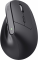 Миша Trust Bayo + Ergonomic, BT/WL/USB-A, чорний
