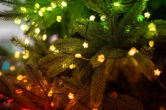 Гірлянда Smart LED Twinkly Strings Star RGB 100 IP20 6м USB-C кабель прозорий