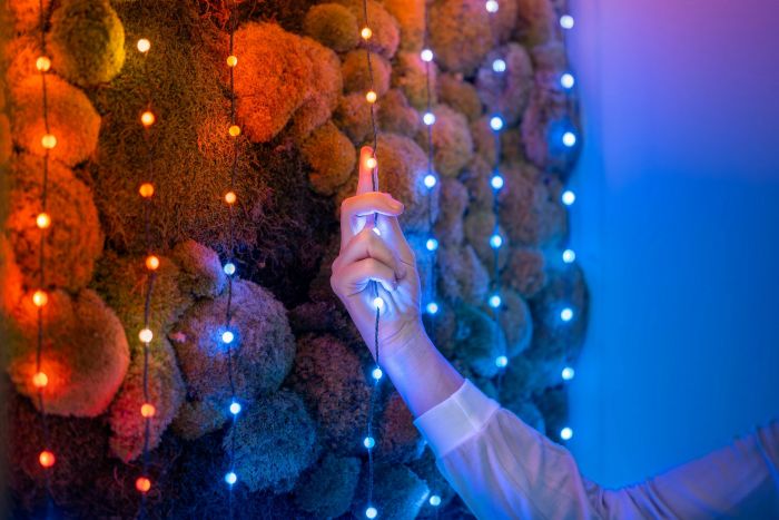 Гірлянда Smart LED Twinkly Candies Pearl RGB 200 IP20 12м USB-C кабель зелений