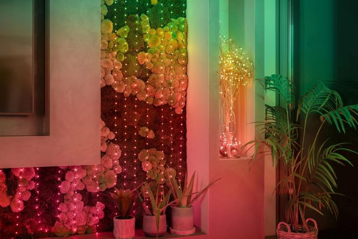 Гірлянда Smart LED Twinkly Candies Pearl RGB 100 IP20 6м USB-C кабель зелений