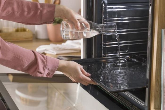 Духова шафа Gorenje електрична, 77л, A+, IconLed, чорний
