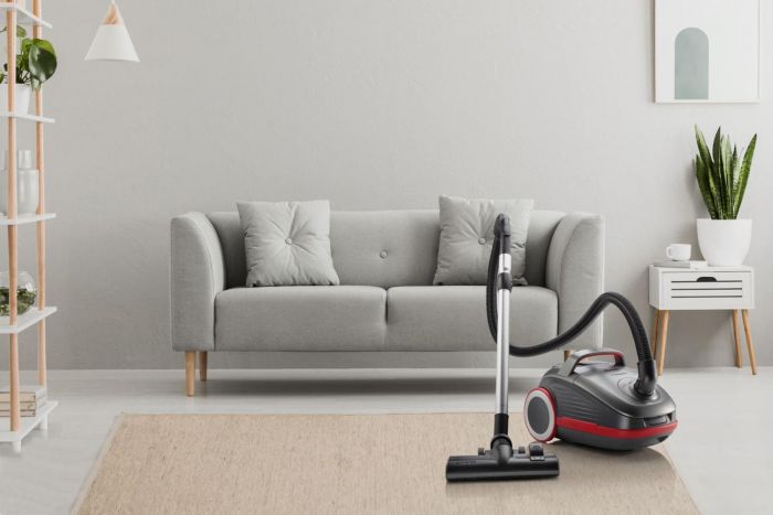 Пилосос Gorenje мішковий, 700Вт, 3л, HEPA, щітка Xpand Zone, turbo brush, телескоп, чорний графіт