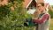 Кущоріз акумуляторний Bosch EasyHedgeCut 18V-52-13 18В лезо 52см крок різу 15мм 3.28кг без АКБ та ЗП