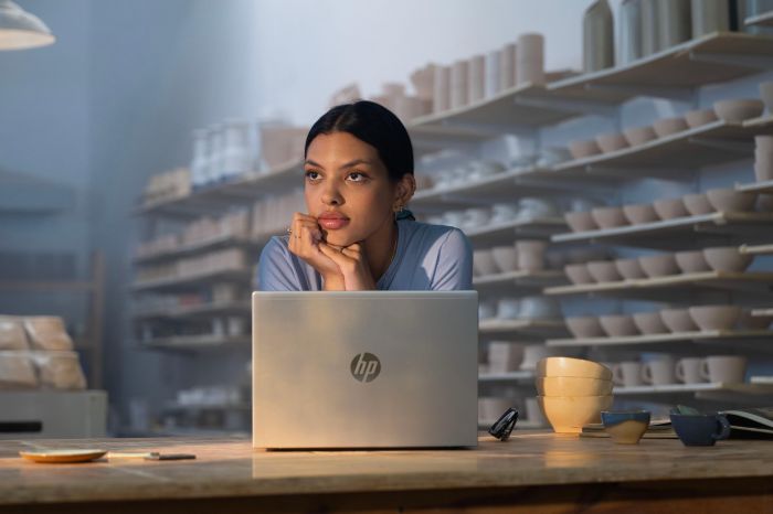 Ноутбук HP Probook 4-G1a 14" 2.2K IPS, AMD R7-250, 48GB, F1024GB, UMA, Win11P, сріблястий