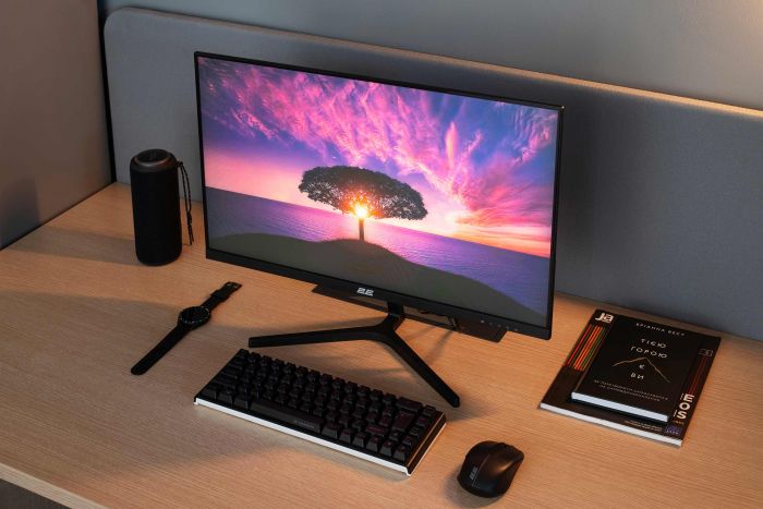 Монітор 2E 23.8" D2425B D-Sub, HDMI, MM, IPS, 100Hz, FreeSync